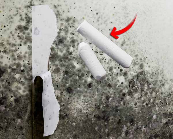 duvar küfü tebeşir