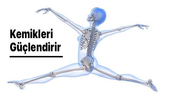 Her Gün 4 Kere Kaju Yerseniz, Olanlara İnanamayacaksınız 5 kemikleri güçlendirir