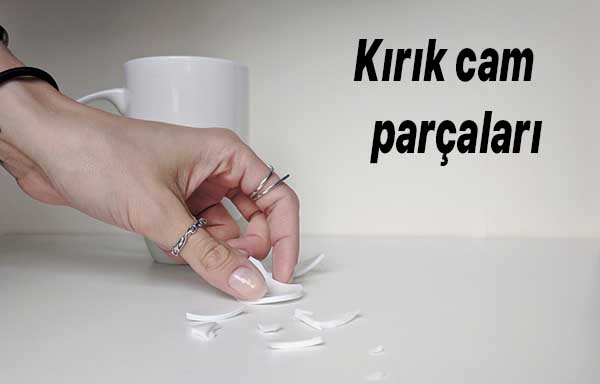 Bunlar Elektrik Süpürgesini Bozuyor Sakın Süpürmeyin! 2 kırık cam parçaları