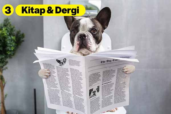 Banyonuzda Asla Bulundurmamanız Gereken 5 Şey! 4 kitap dergi