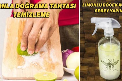Limonun Daha Önce Hiç Duymadığınız 7 Farklı Kullanım Alanı 20 limonla neler yapilir