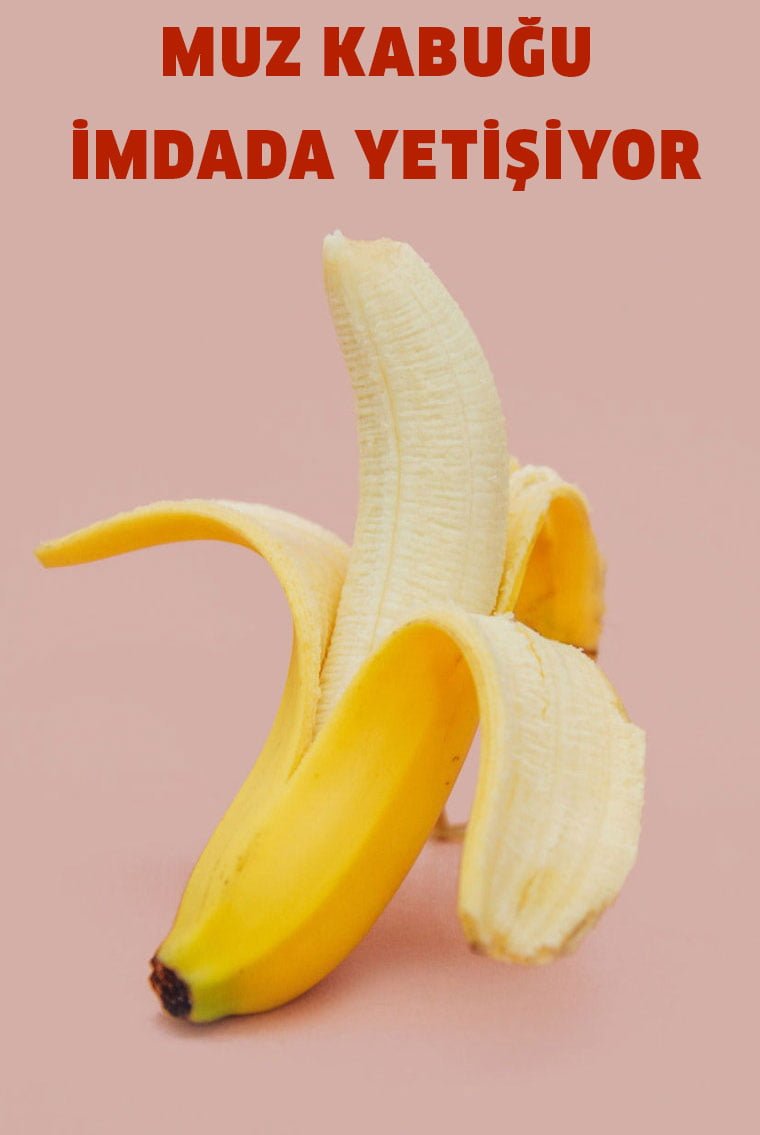 Muz Kabuğunu ile Yapılabilecek 6 Muhteşem Fikir 2 muz kabugu3