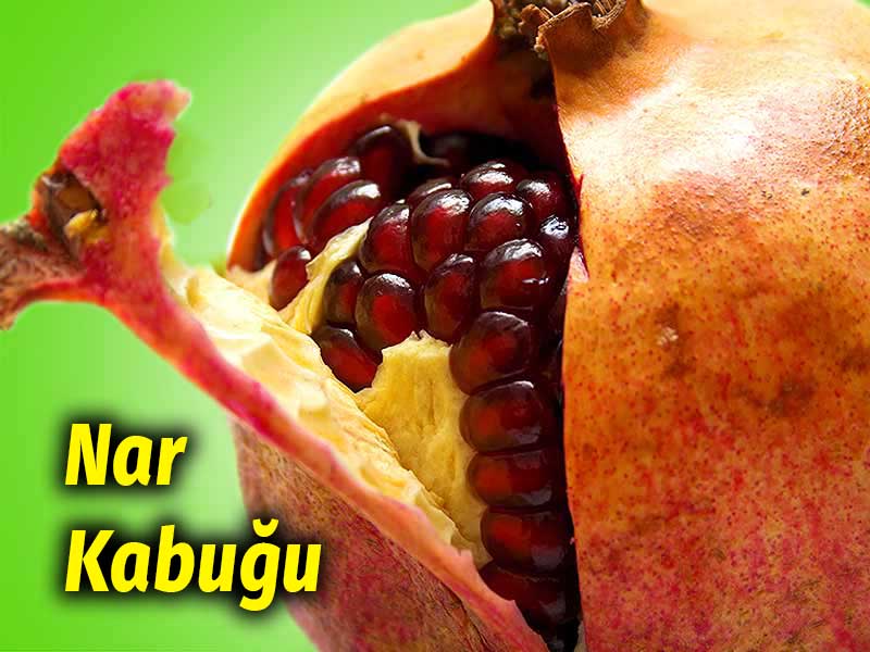 Saplarını Hep Attık Meğer İyi Geldiği Kadar Çok Hastalık Var ki 8 nar kabuğu