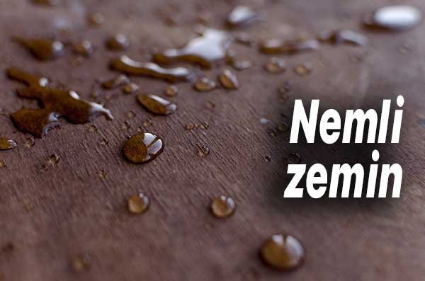 Bunlar Elektrik Süpürgesini Bozuyor Sakın Süpürmeyin! 3 nemli zemin