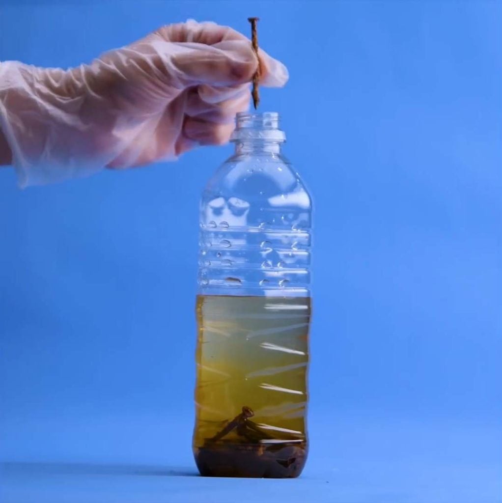 Çiçekleriniz Eskisinden Daha Canlı Görünecek 5 pasli