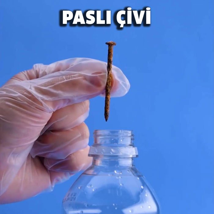 Çiçekleriniz Eskisinden Daha Canlı Görünecek 4 pasli civi