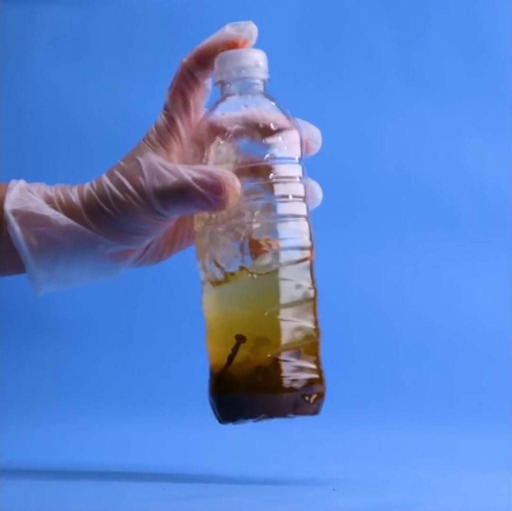 Çiçekleriniz Eskisinden Daha Canlı Görünecek 6 pasli2