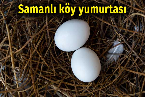 Eskiden Fakirliğin Göstergesi Olup Şimdi Kıymete Binen 14 Şey 3 samanlı köy yumurtası