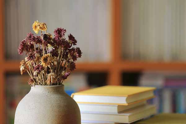 Evinizde Kavga Varsa Bu 5 Eşyayı Hemen Atın 7 evde solmuş çiçek bırakmayın