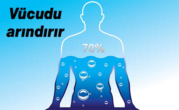 Vücudunuzu Nikotinden Temizleyen Süper Besinler 6 vucudu arindirir