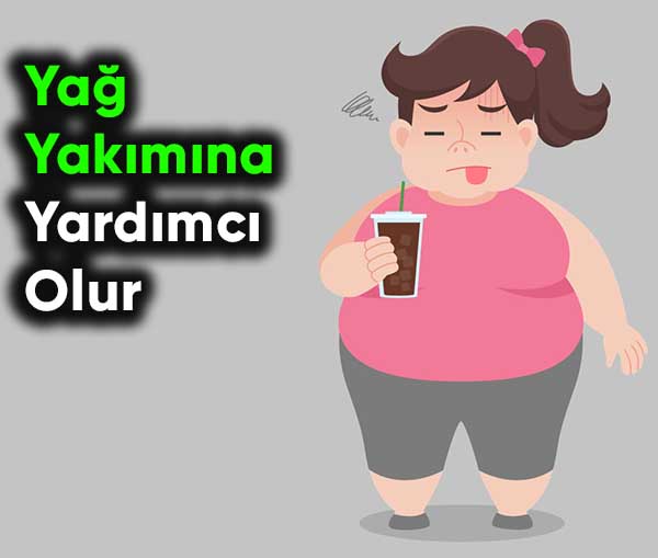 yağ yakımına yardımcı olur