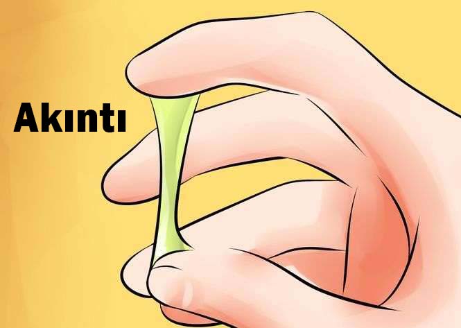 Vaj-inal Akıntı Neden Meydana Gelir? 2 akinti neye benzer