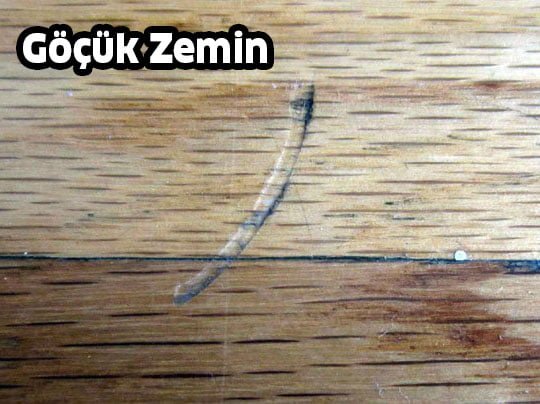 Müjde... Ahşap Zeminler Artık Eskisinden Daha Yeni Görünecek 5 göçük zemin