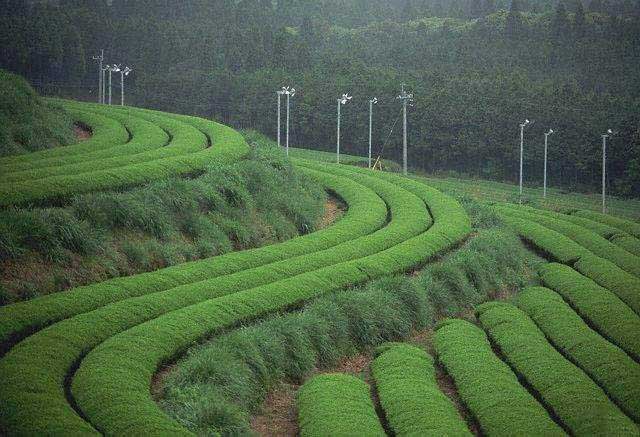 Japon Kadınlarının Güzellik Sırları 10 gunesten kacarlar