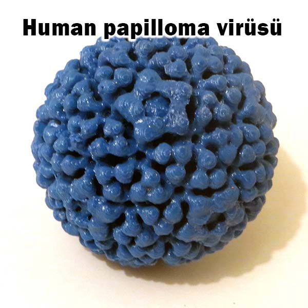 Vaj-inal Akıntı Neden Meydana Gelir? 4 human papilloma virusu