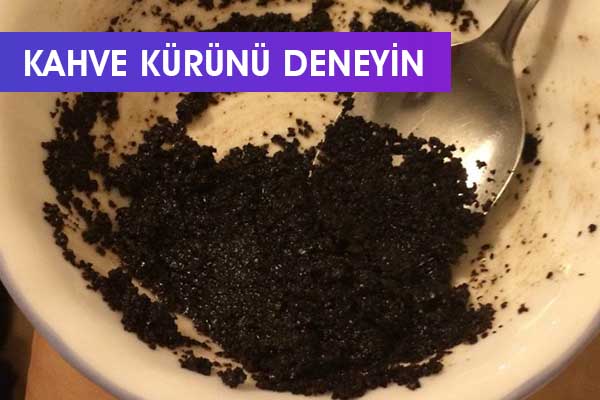 kahve kurunu deneyin