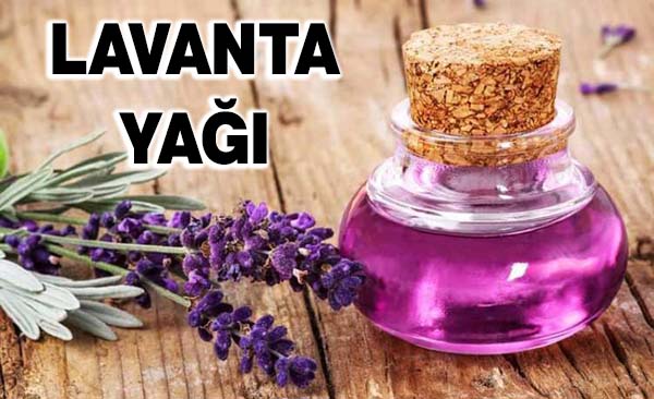 Uykudan Önce Bunu Ayağına Sık, Uyanınca Yeniden Doğmuş Gibi Hissedeceksin! 5 lavanta yağı