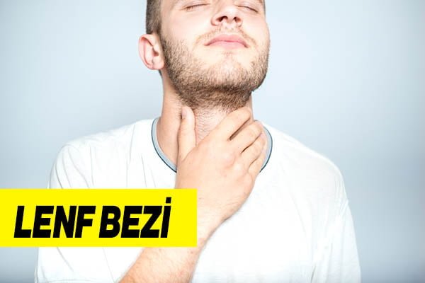 lenf bezi