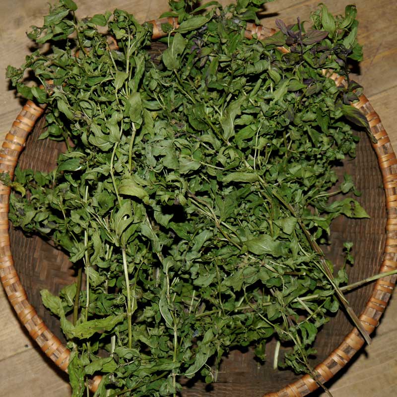 Örümcekleri Evinizden Nasıl Uzaklaştırırsınız 7 nane323