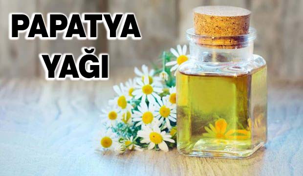 Uykudan Önce Bunu Ayağına Sık, Uyanınca Yeniden Doğmuş Gibi Hissedeceksin! 6 papatya yagi