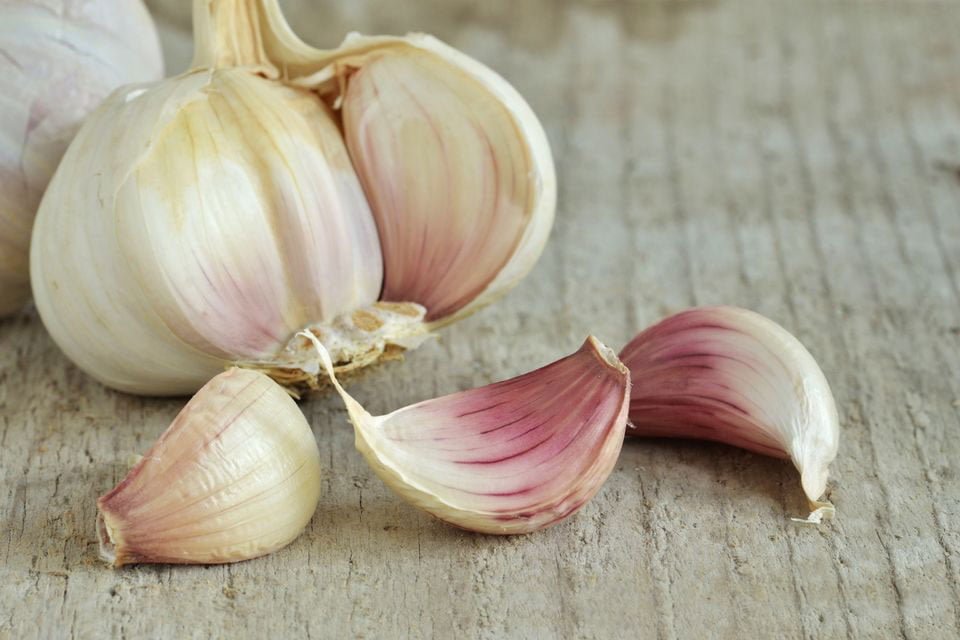 Yastığın Altına Bir Diş Sarımsak Koymak Çok İyi Geliyor 3 sarimsak