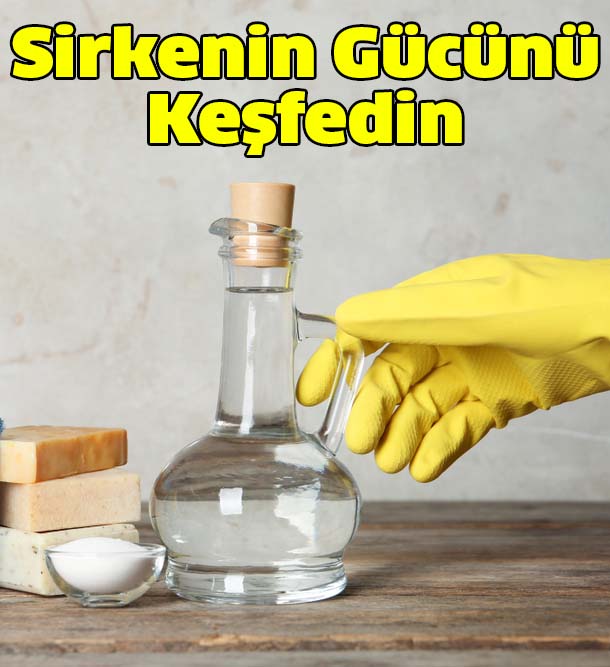 sirkenin gucunu kesfedin