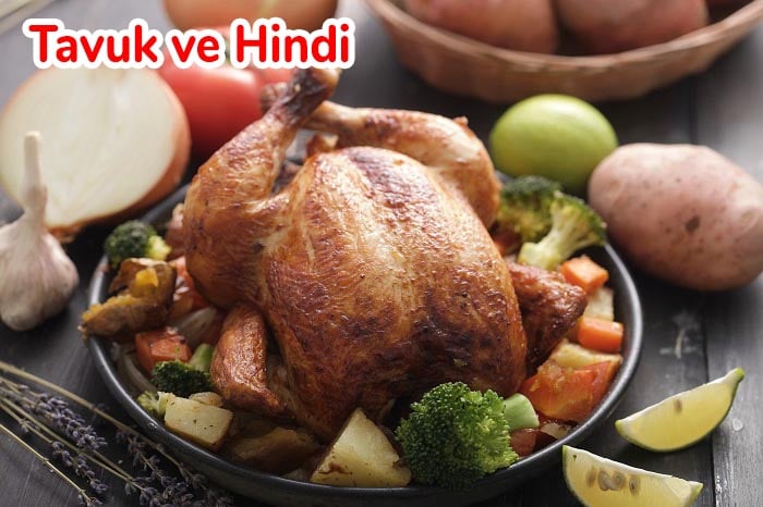 tavuk ve hindi