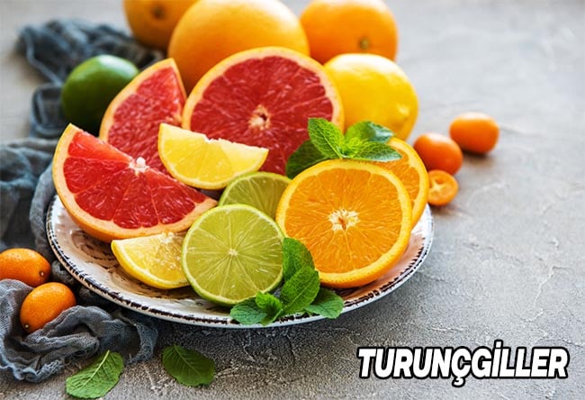 Kolajen Eksiği Nasıl Giderilir Hangi Besinleri Yemeliyiz? 8 turuncgiller