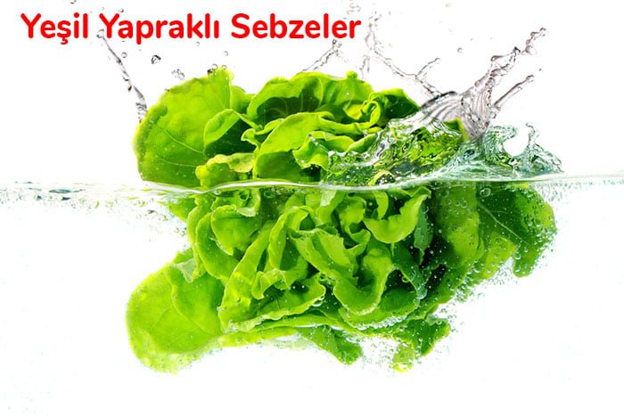 yesil yaprakli sebzeler