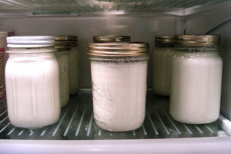 Ev Yapımı Yoğurt İle 169 Hasta İyileşti 3 yogurt4