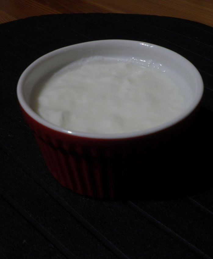 Ev Yapımı Yoğurt İle 169 Hasta İyileşti 5 yogurt8