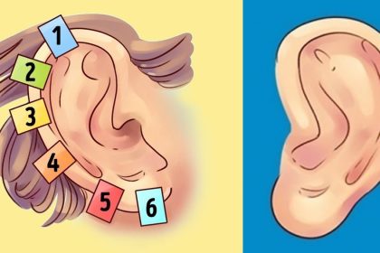 hastaliklari kulaginizdaki 6 noktadan tedavi etmek mumkun