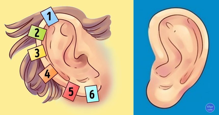 Hastalıkları Kulağınızdaki 6 Noktadan Tedavi Etmek Mümkün 1 hastaliklari kulaginizdaki 6 noktadan tedavi etmek mumkun