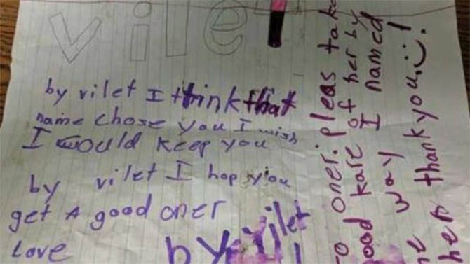 Sahibi Onu Terk Etmişti! Boynundaki Notu Görenler İse Gözyaşlarını Tutamadı. 3 kaybolan kedi