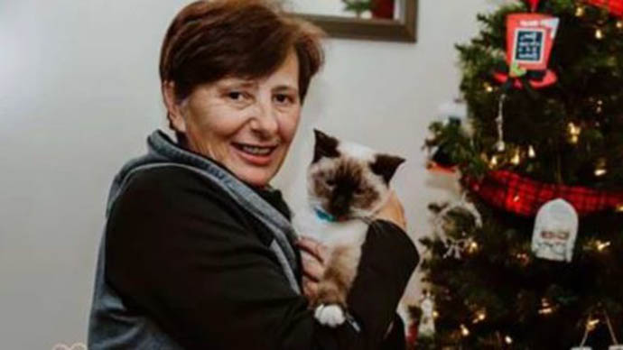 Sahibi Onu Terk Etmişti! Boynundaki Notu Görenler İse Gözyaşlarını Tutamadı. 5 kedinin sahibi