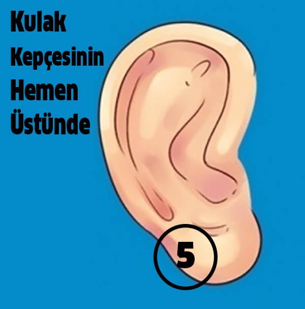 Hastalıkları Kulağınızdaki 6 Noktadan Tedavi Etmek Mümkün 6 kulak kepcesinin hemen ustunde 5