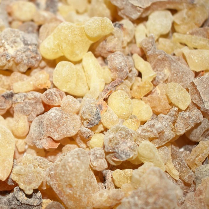 Faydaları Saymakla Bitmeyen Bitki 7 akgunluk2