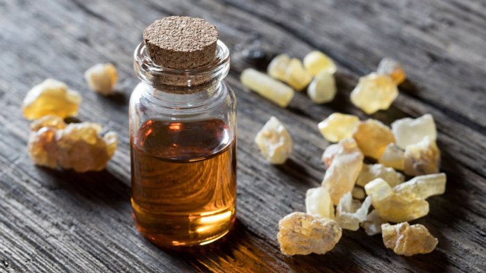 Faydaları Saymakla Bitmeyen Bitki 6 akgunluk4