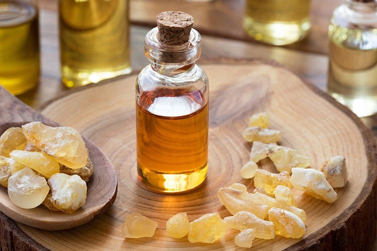 Faydaları Saymakla Bitmeyen Bitki 5 akgunluk5