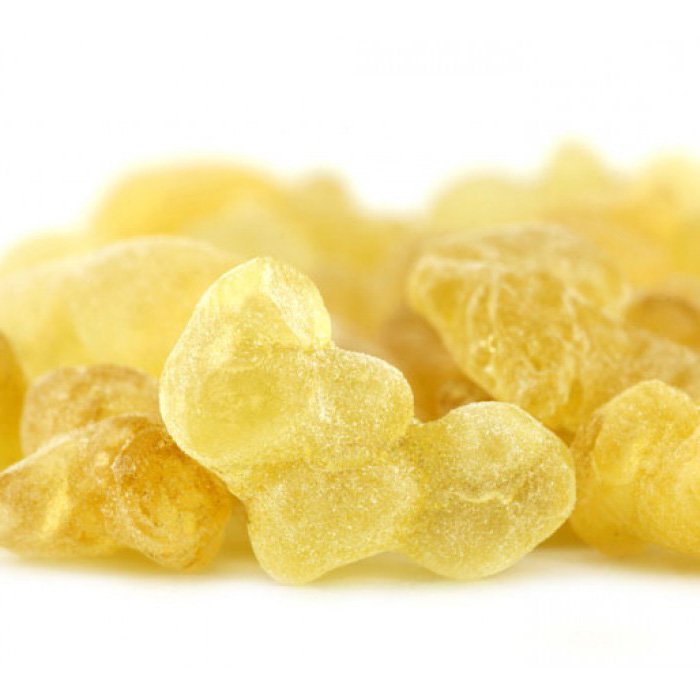 Faydaları Saymakla Bitmeyen Bitki 2 akgunluk7