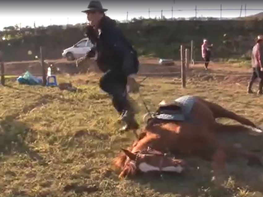 Üstüne Binildiğinde Ö-lü Taklidi Yapan At 3 at2