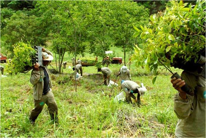 Çift Bulundukları Çevreyi Bakın Ne Hale Getirmişler 5 calisanlar