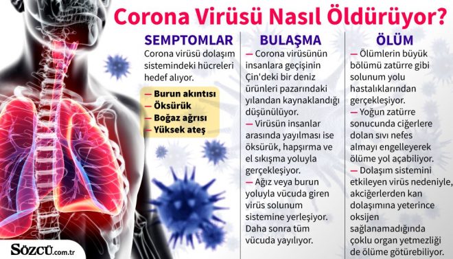 corona virusu nasil