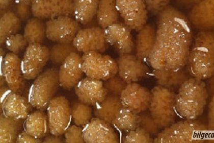 dut egzamalari iyilestirdi