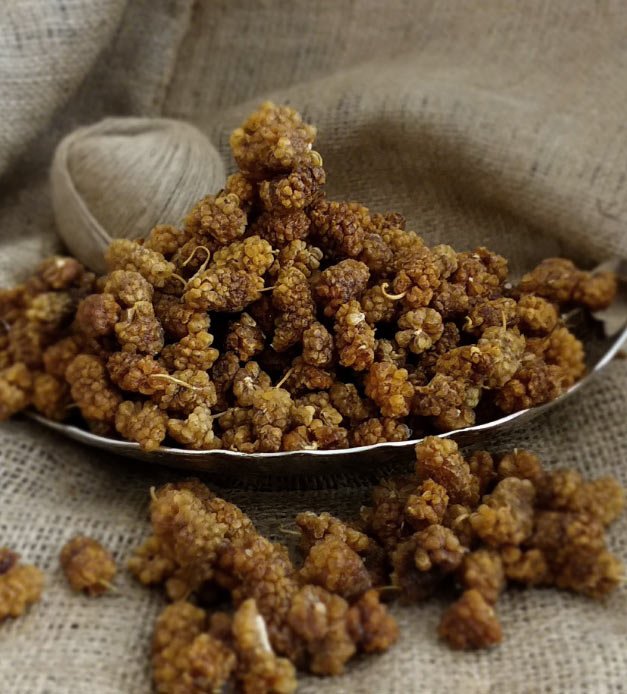 dut kurusunun faydalari