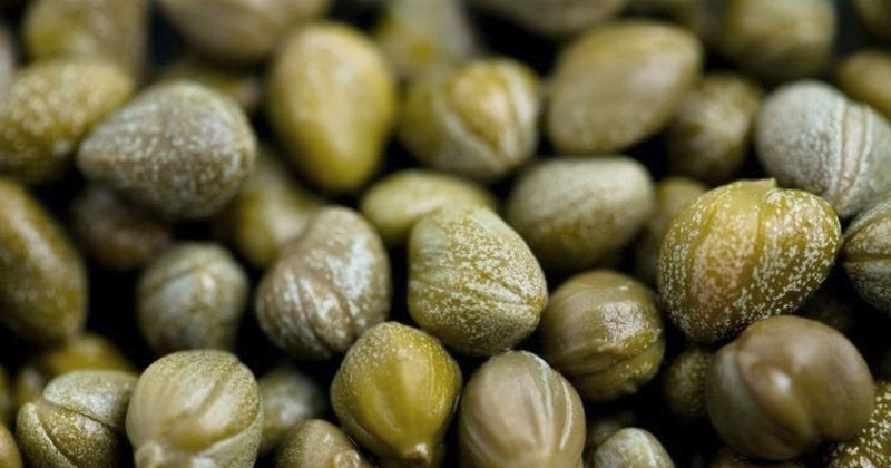 Bu Bitki Balgam ve İdrar Söktüyor, Felç Riskini Azaltıyor ve Gutu Yeniyor! 2 kapari bitkisi