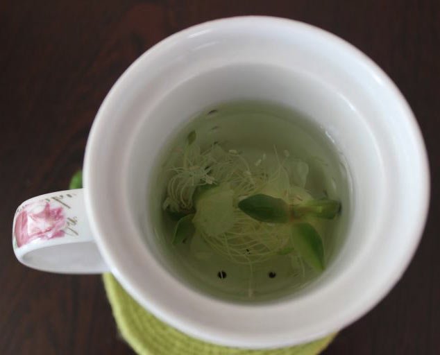 Bu Bitki Balgam ve İdrar Söktüyor, Felç Riskini Azaltıyor ve Gutu Yeniyor! 8 kapari cayi