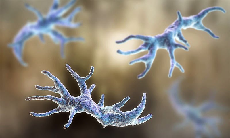 69 Yaşındaki Kadın Burnunu Yıkamak İçin Musluk Suyu Kullandı Sonrası Herkese İbret Oldu... 4 musluk suyundaki bakteriler