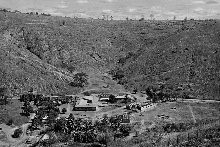 Çift Bulundukları Çevreyi Bakın Ne Hale Getirmişler 2 oncesi
