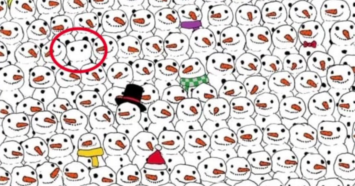 Pandayı Bulabileni Ayakta Alkışlıyoruz 3 panda2